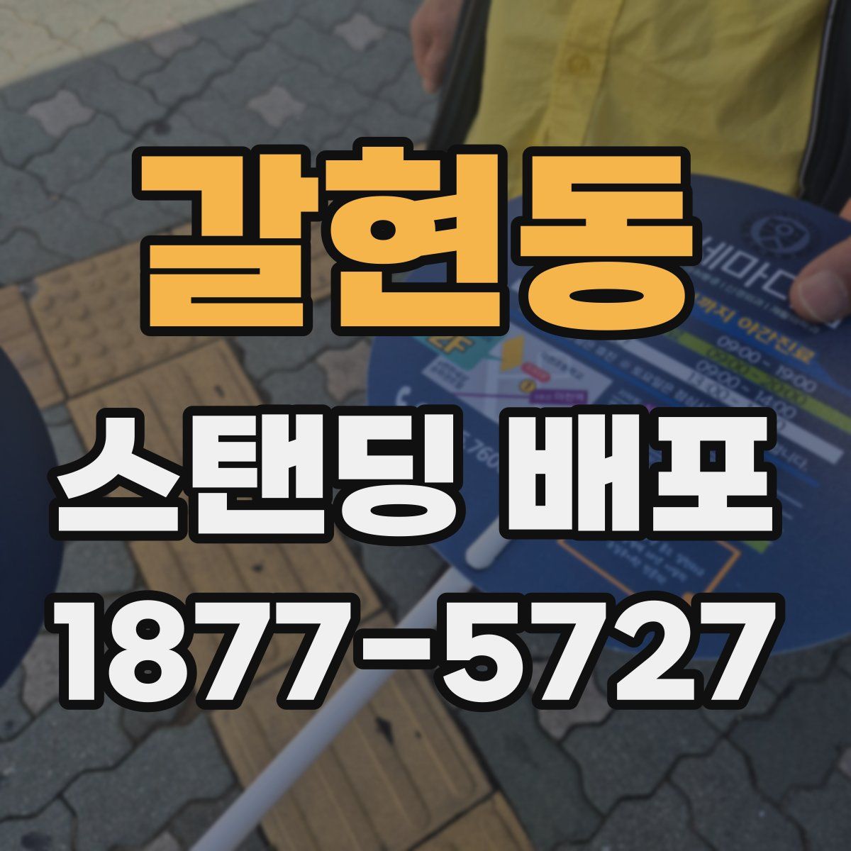 갈현동 스탠딩 배포