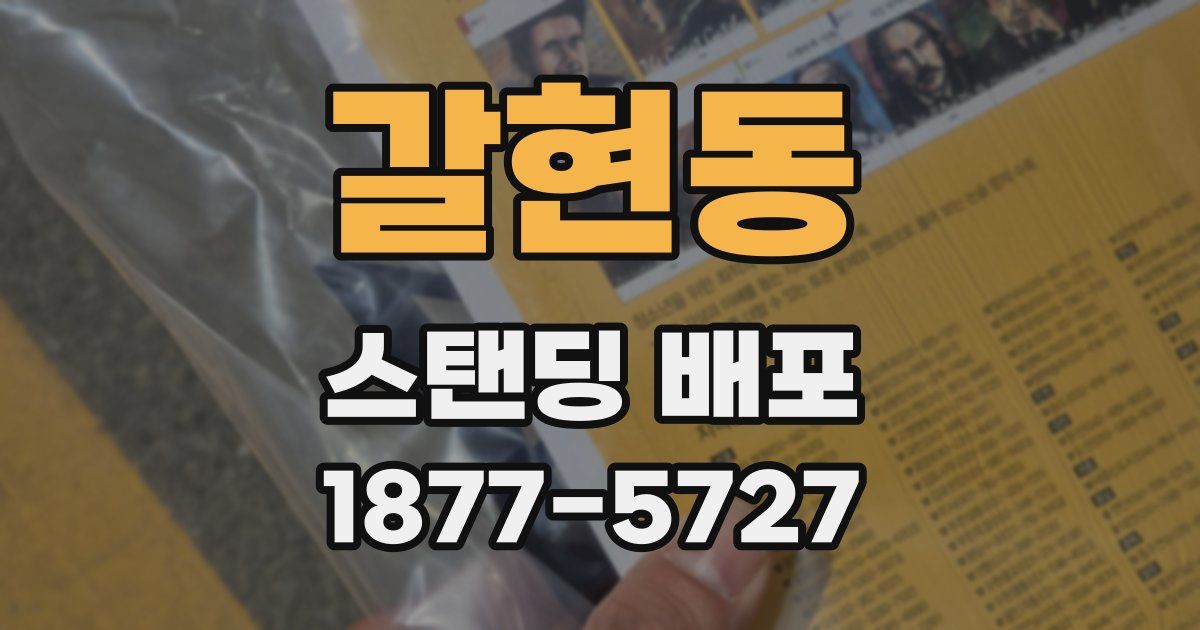 갈현동 스탠딩 배포