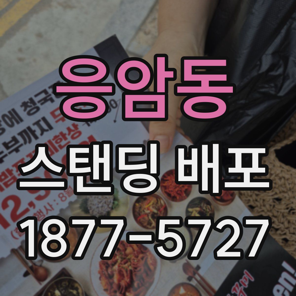 응암동 스탠딩 배포