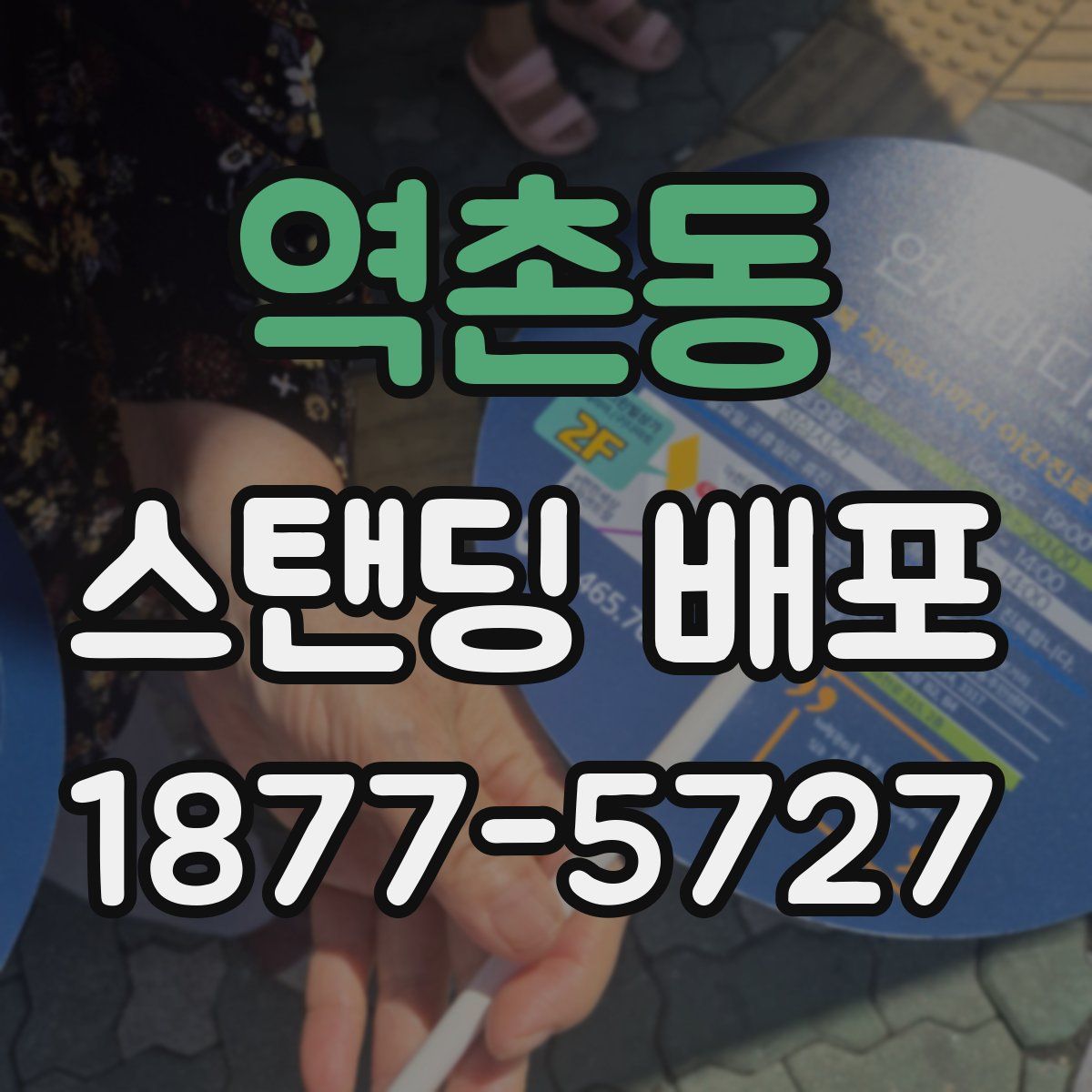 역촌동 스탠딩 배포