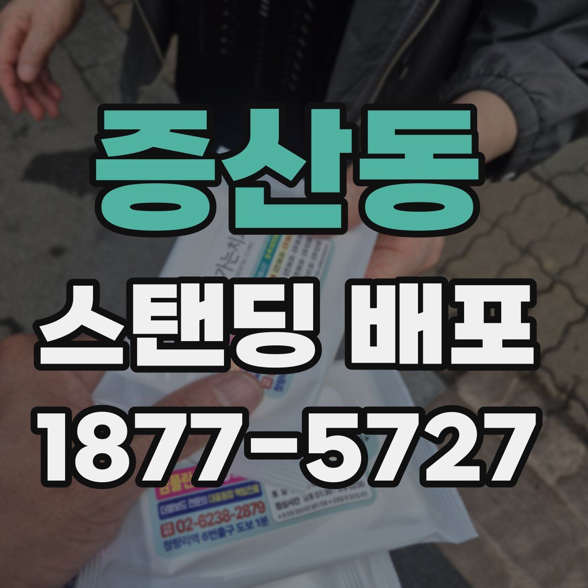 증산동 스탠딩 배포