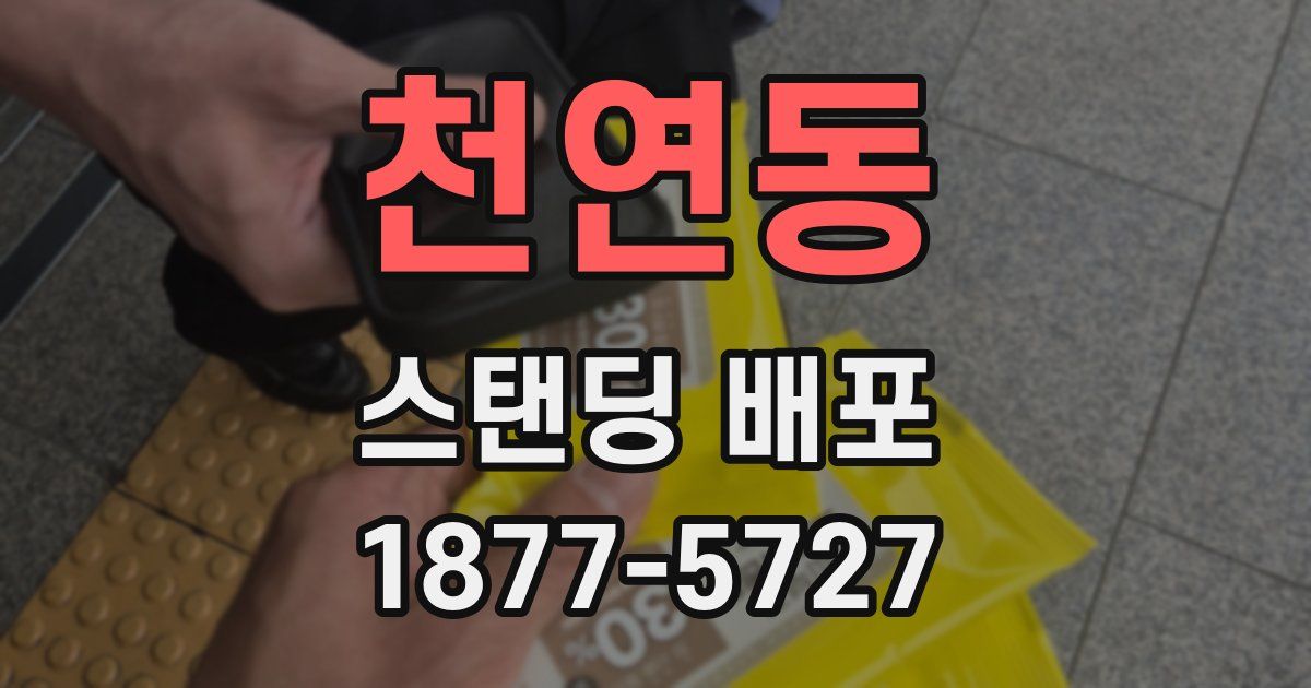 천연동 스탠딩 배포