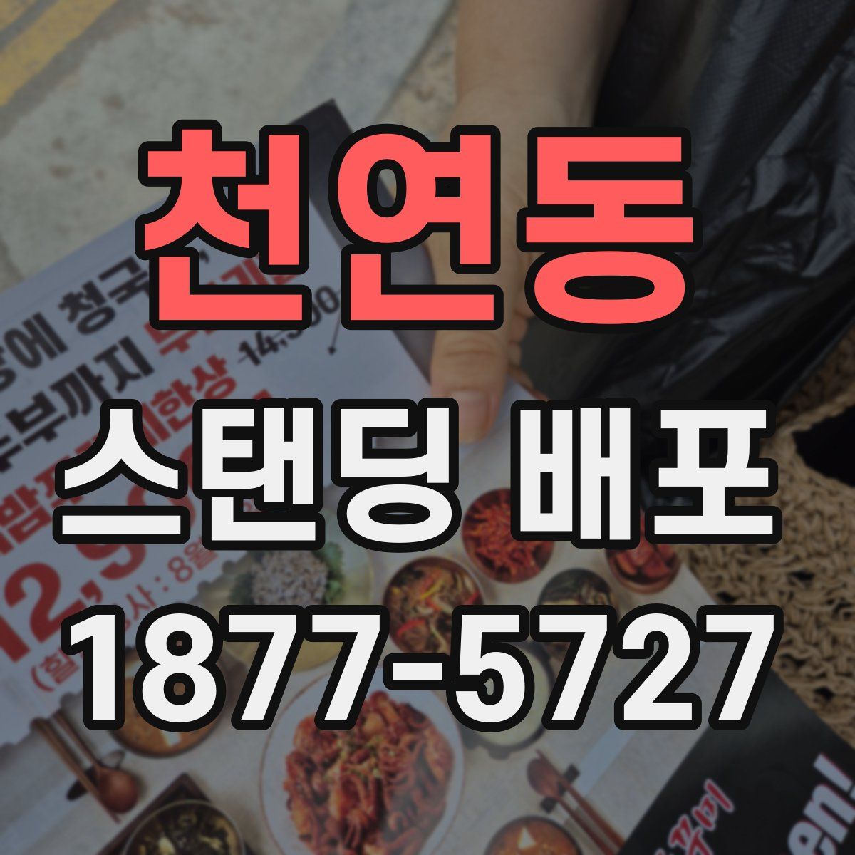 천연동 스탠딩 배포