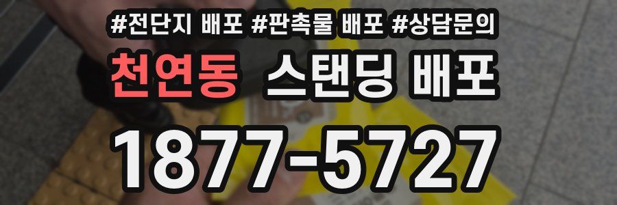 천연동 스탠딩 배포