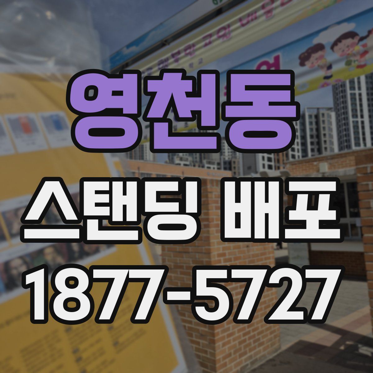 영천동 스탠딩 배포