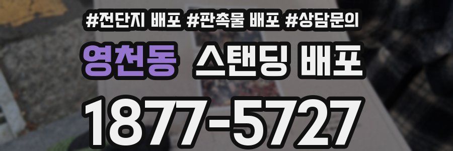 영천동 스탠딩 배포