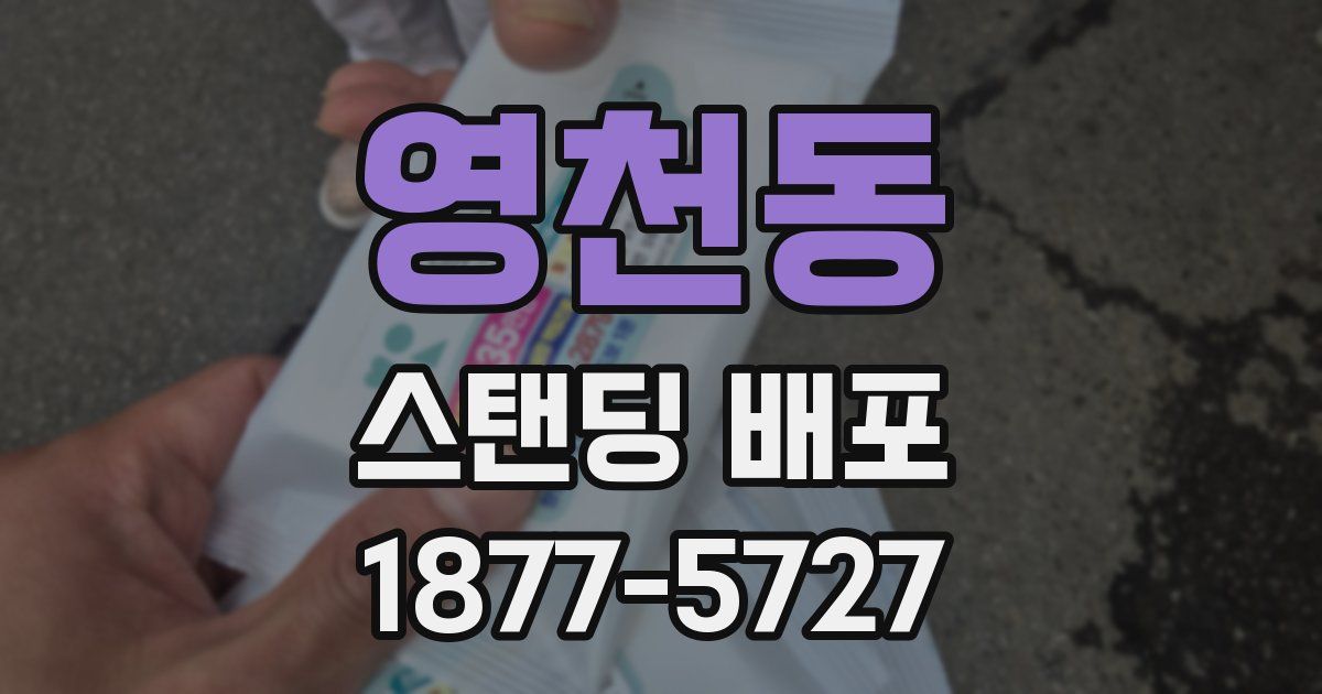 영천동 스탠딩 배포