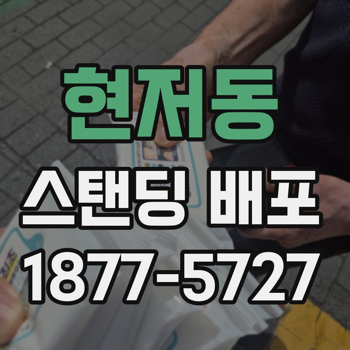 현저동 스탠딩 배포