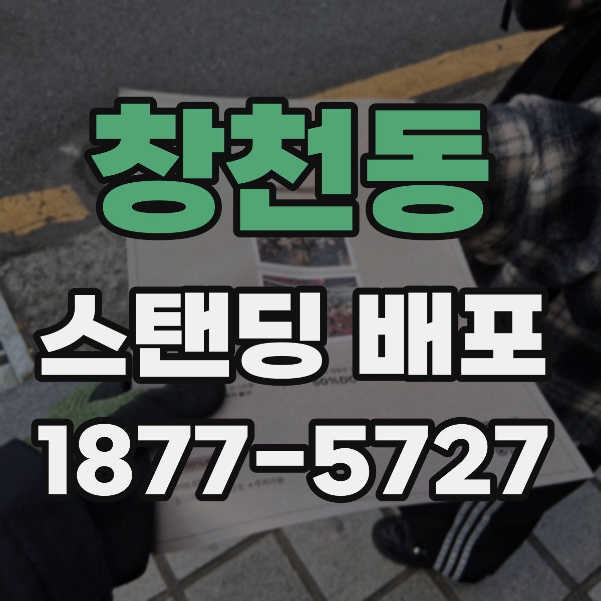 창천동 스탠딩 배포