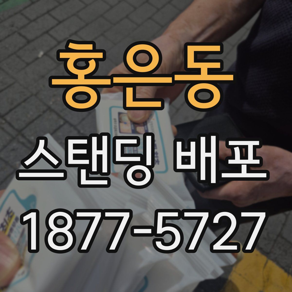 홍은동 스탠딩 배포