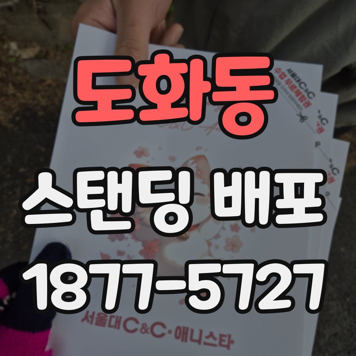 도화동 스탠딩 배포