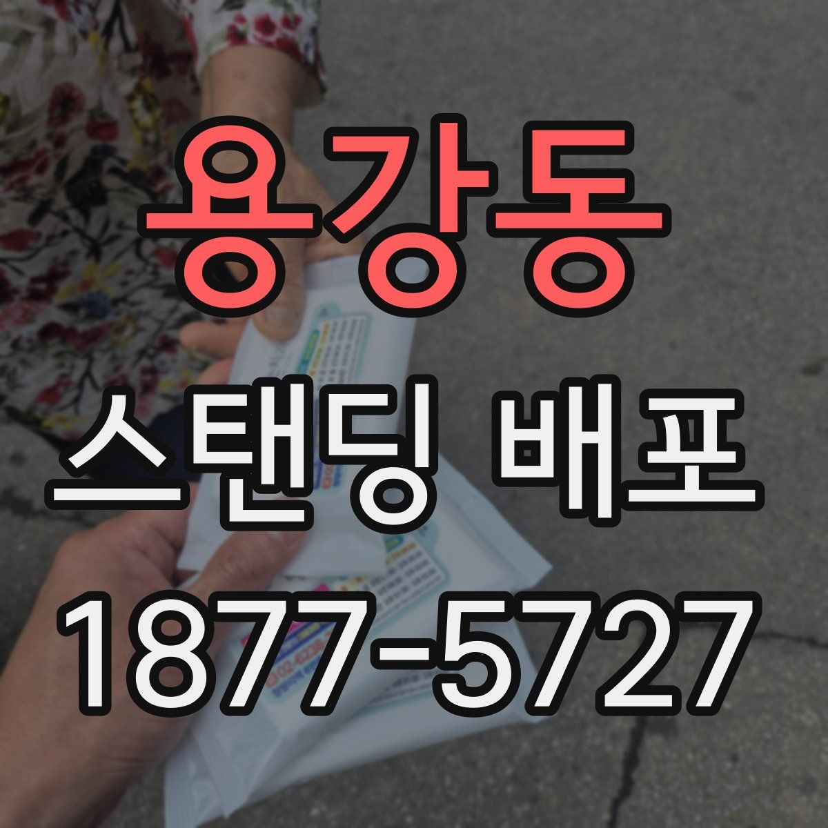 용강동 스탠딩 배포