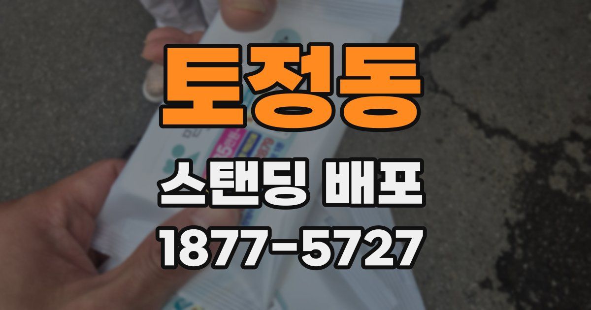 토정동 스탠딩 배포