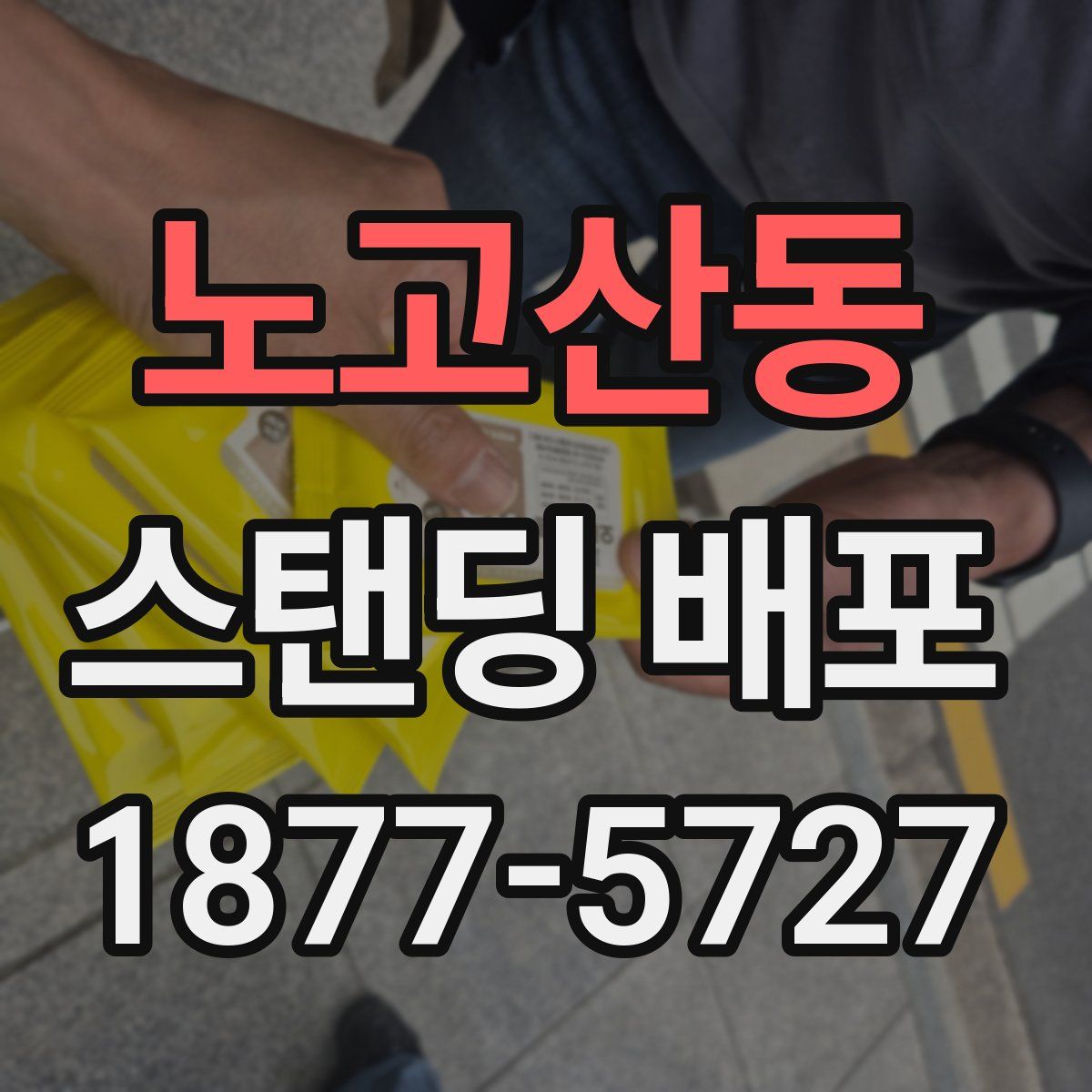노고산동 스탠딩 배포