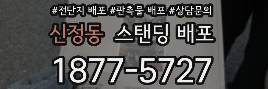 신정동 스탠딩 배포