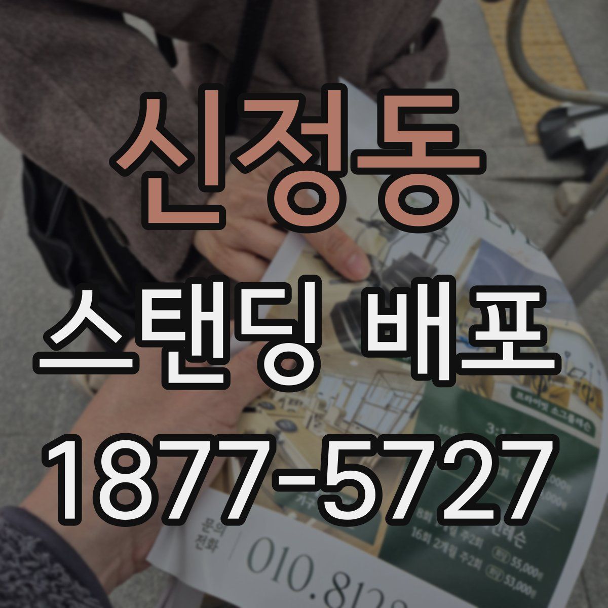 신정동 스탠딩 배포