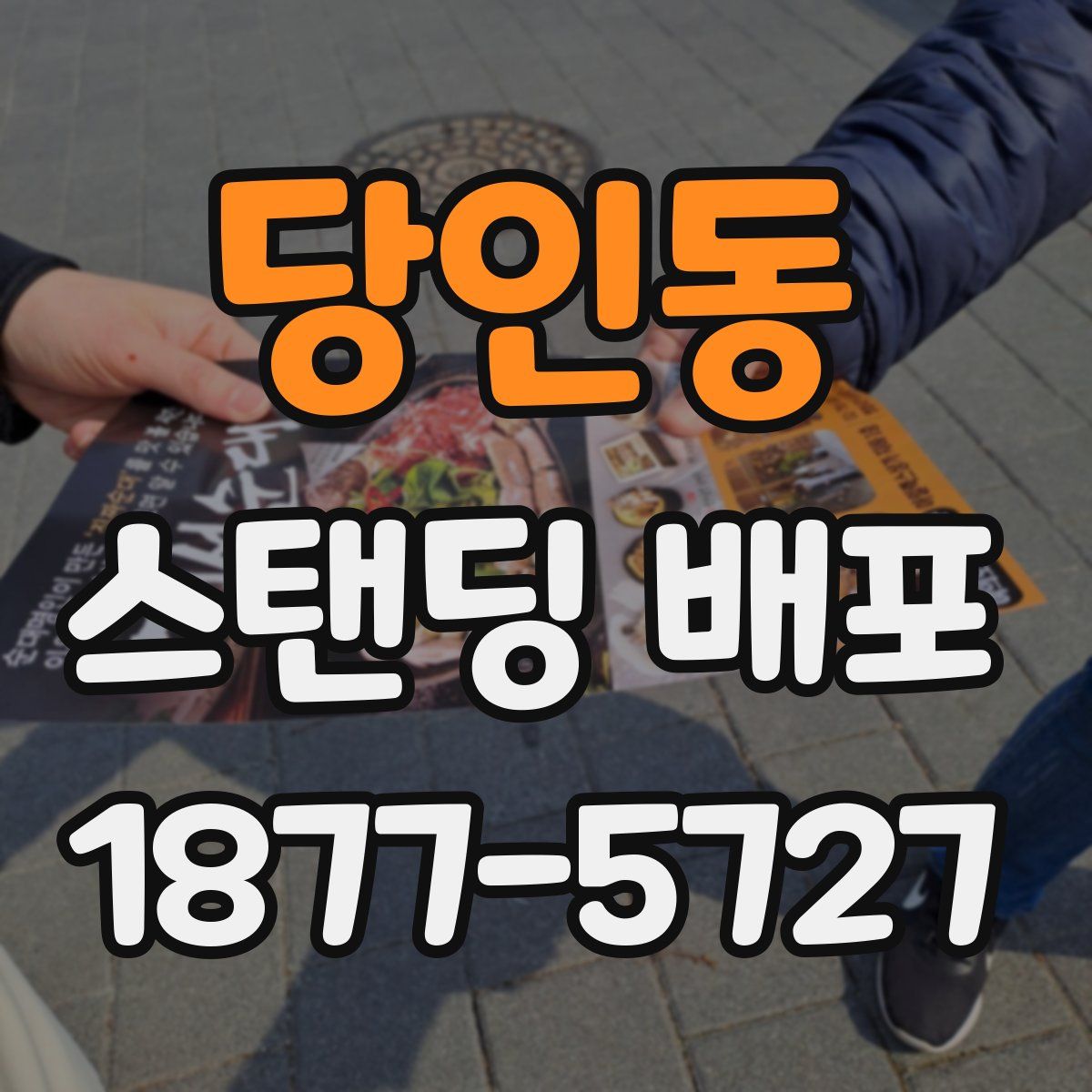 당인동 스탠딩 배포