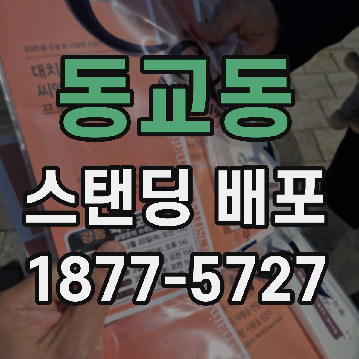 동교동 스탠딩 배포