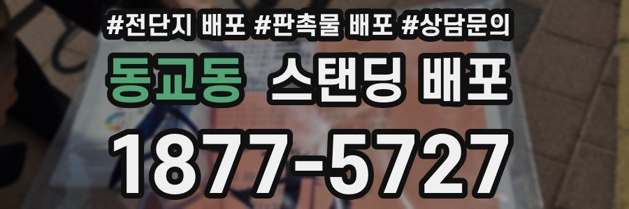 동교동 스탠딩 배포