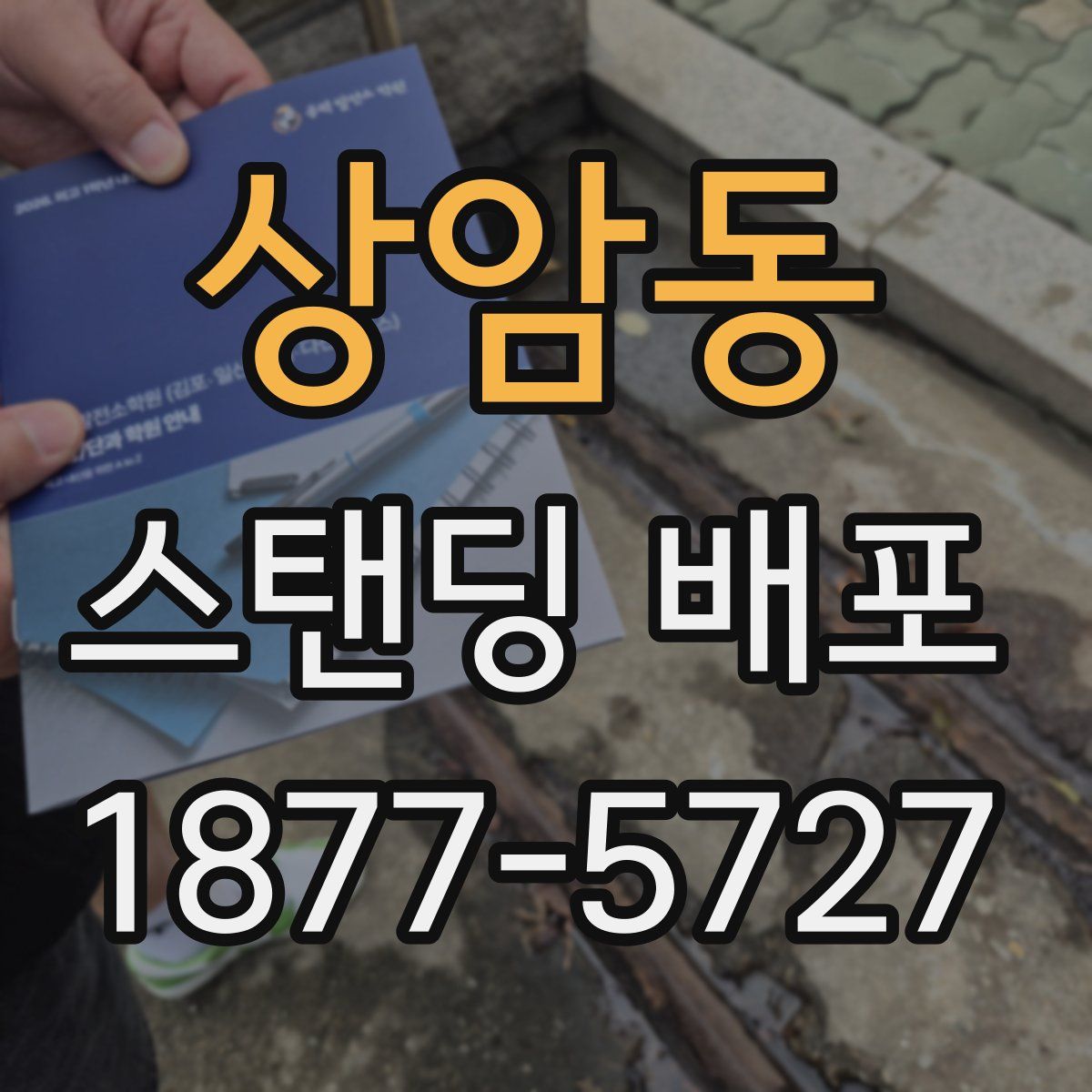 상암동 스탠딩 배포
