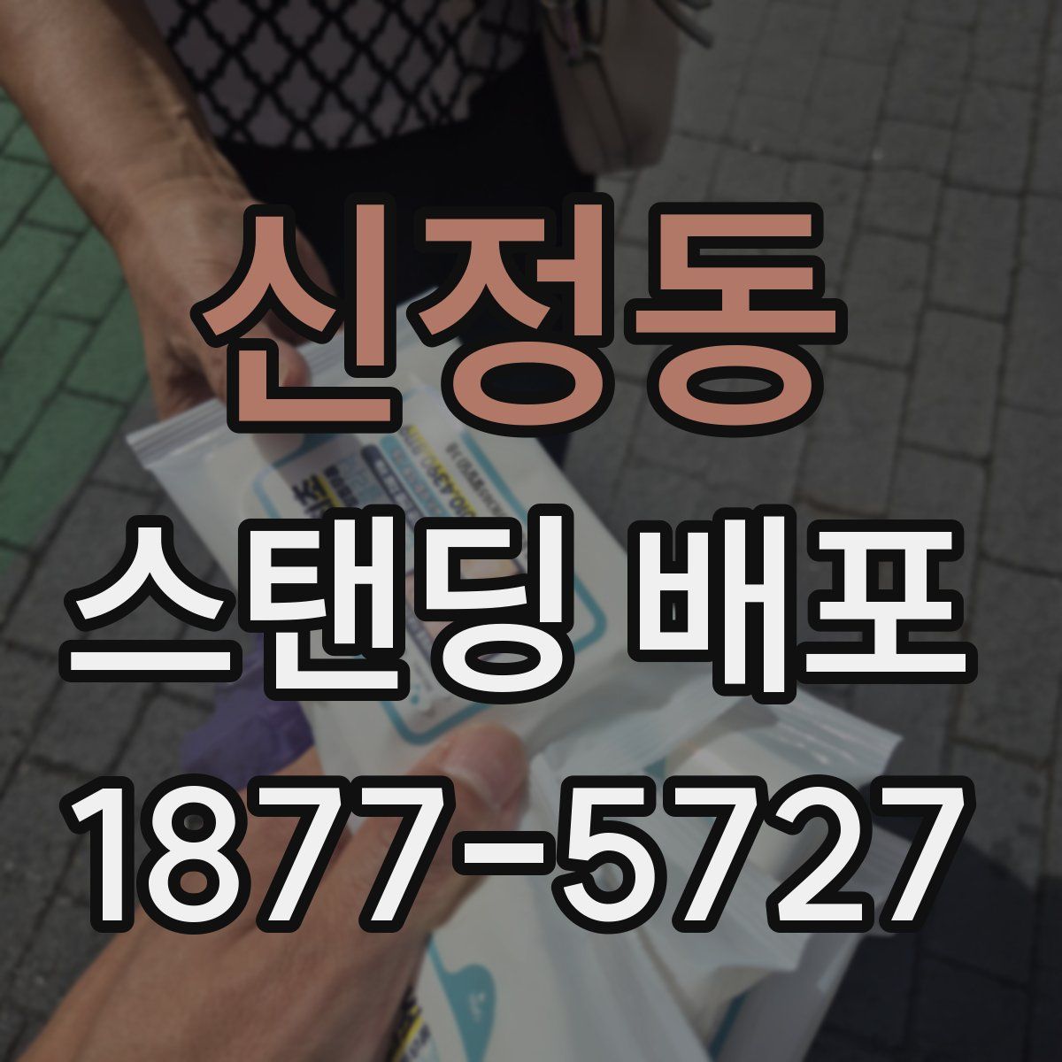 신정동 스탠딩 배포
