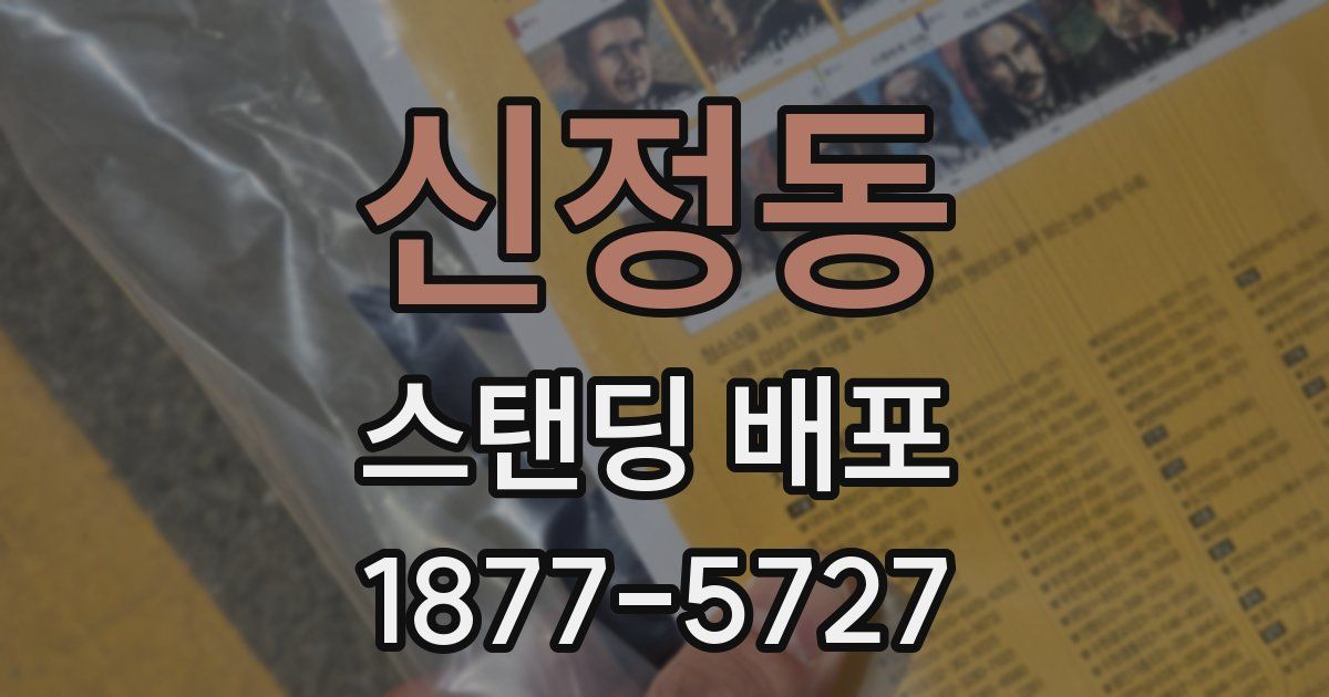 신정동 스탠딩 배포
