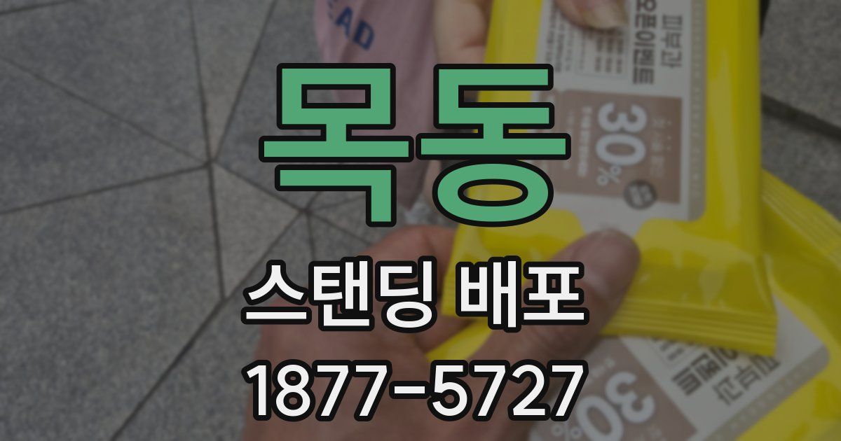 목동 스탠딩 배포