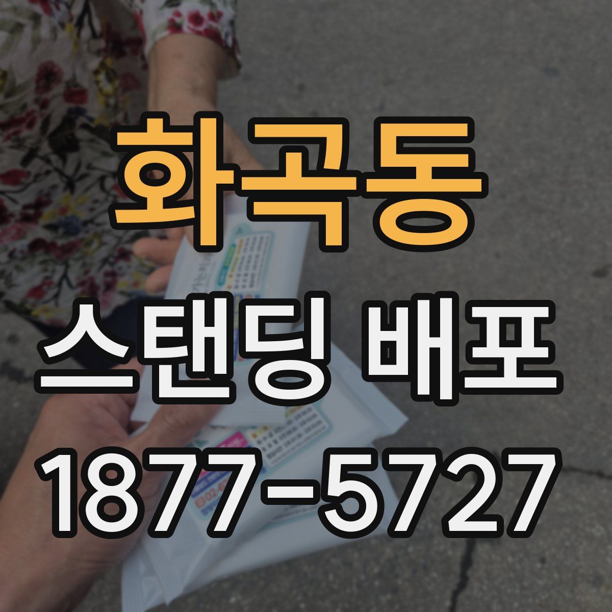 화곡동 스탠딩 배포