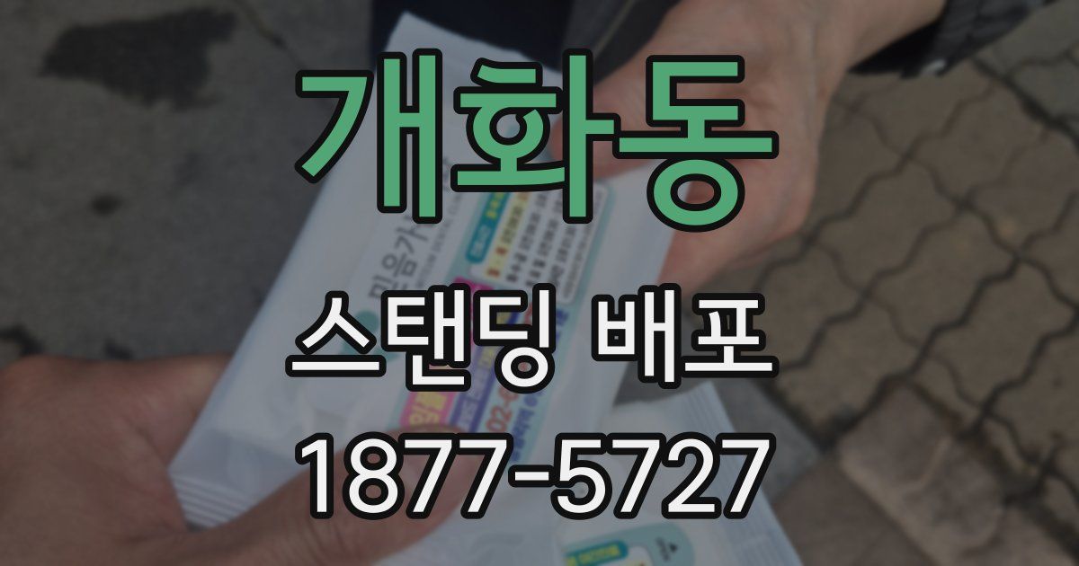 개화동 스탠딩 배포