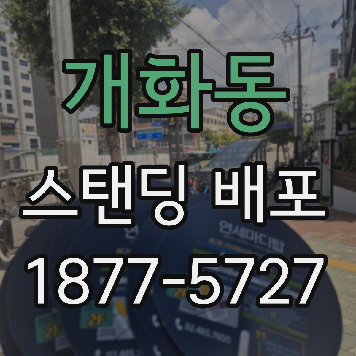 개화동 스탠딩 배포