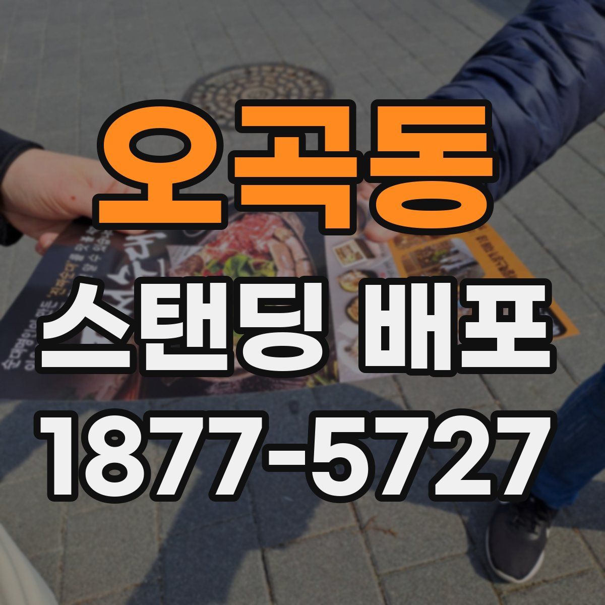 오곡동 스탠딩 배포