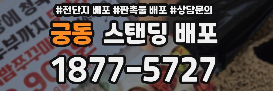 궁동 스탠딩 배포