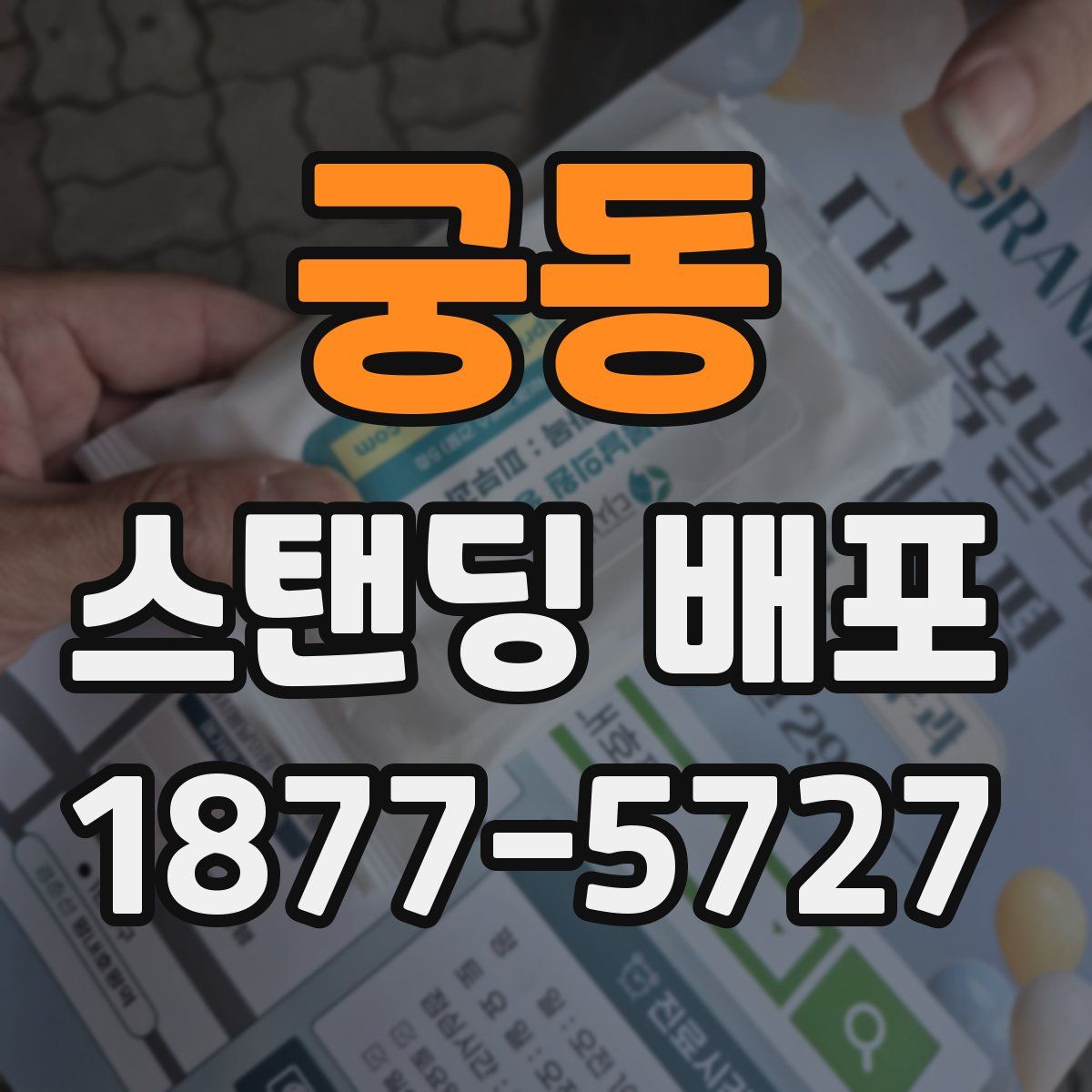 궁동 스탠딩 배포