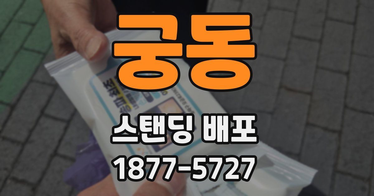 궁동 스탠딩 배포