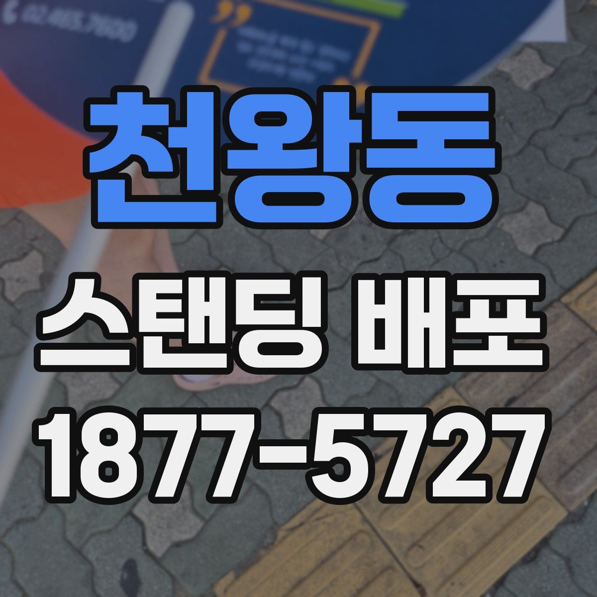 천왕동 스탠딩 배포