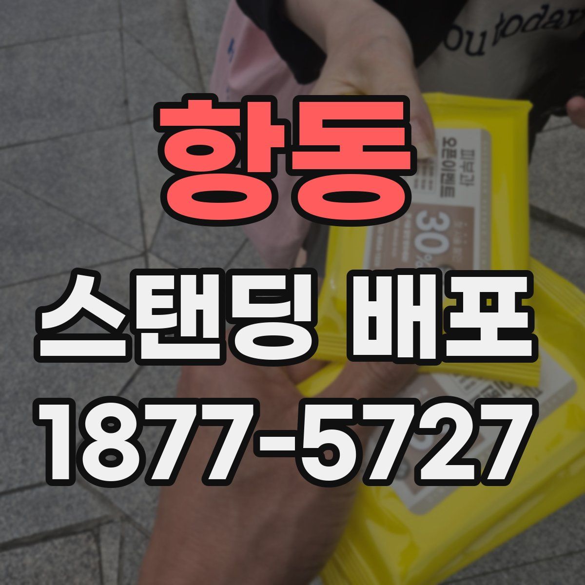 항동 스탠딩 배포