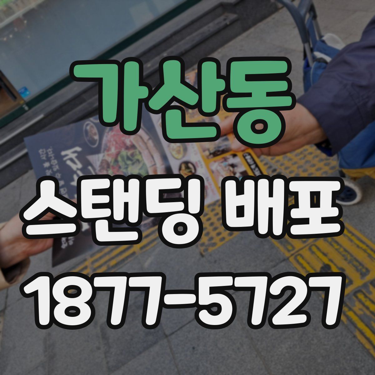 가산동 스탠딩 배포