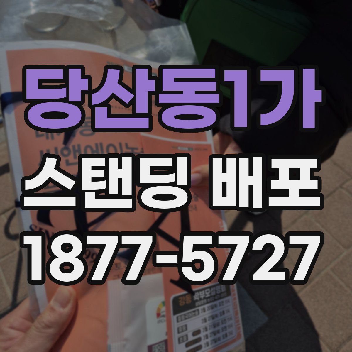 당산동1가 스탠딩 배포