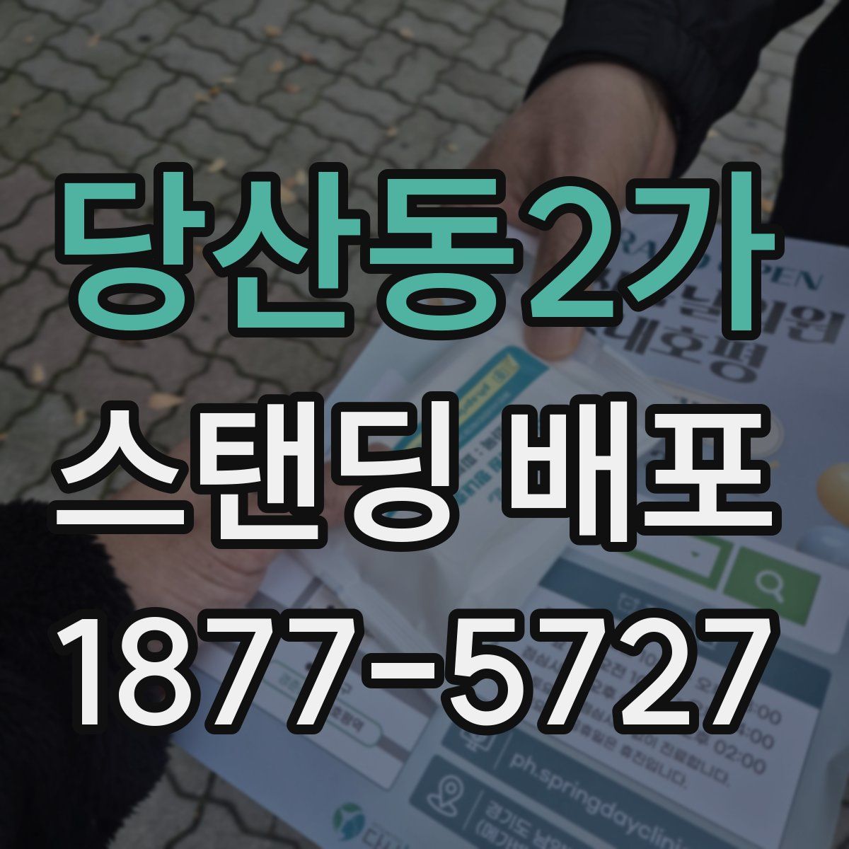 당산동2가 스탠딩 배포