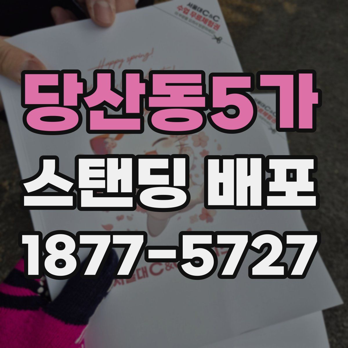 당산동5가 스탠딩 배포