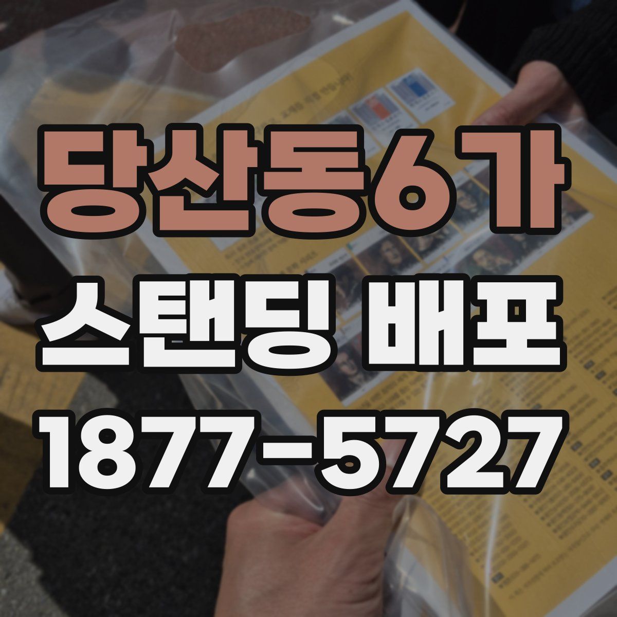 당산동6가 스탠딩 배포