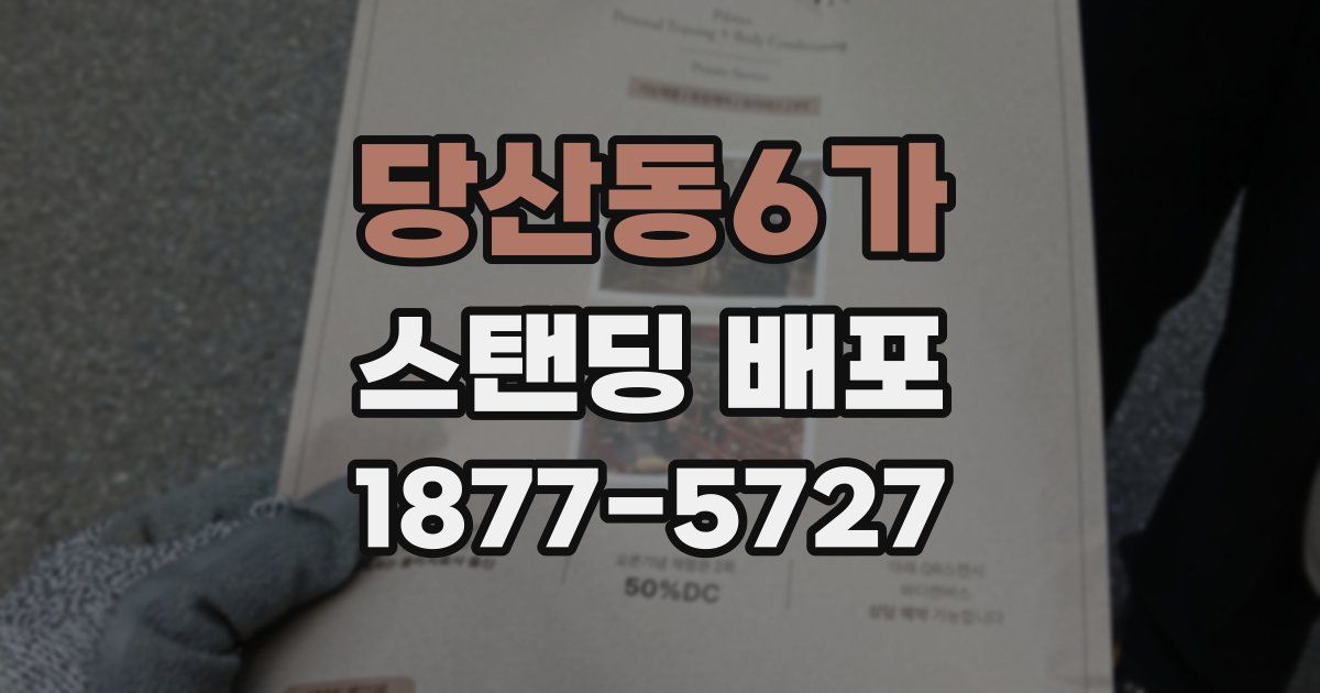당산동6가 스탠딩 배포