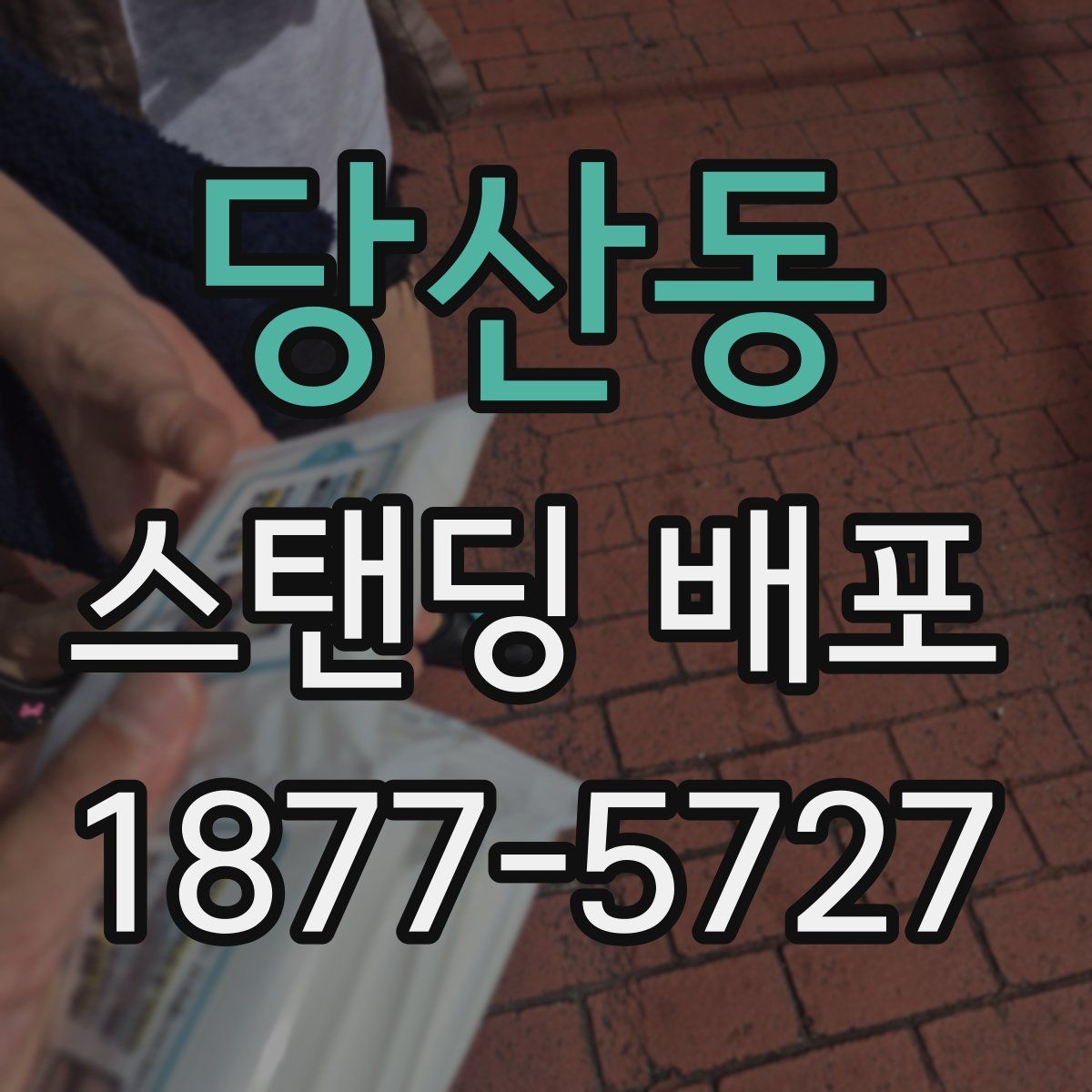 당산동 스탠딩 배포