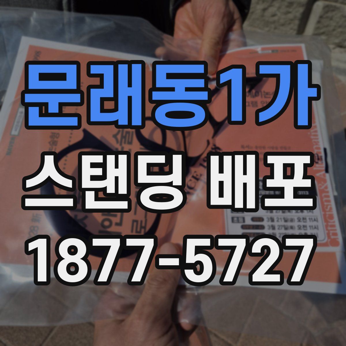 문래동1가 스탠딩 배포