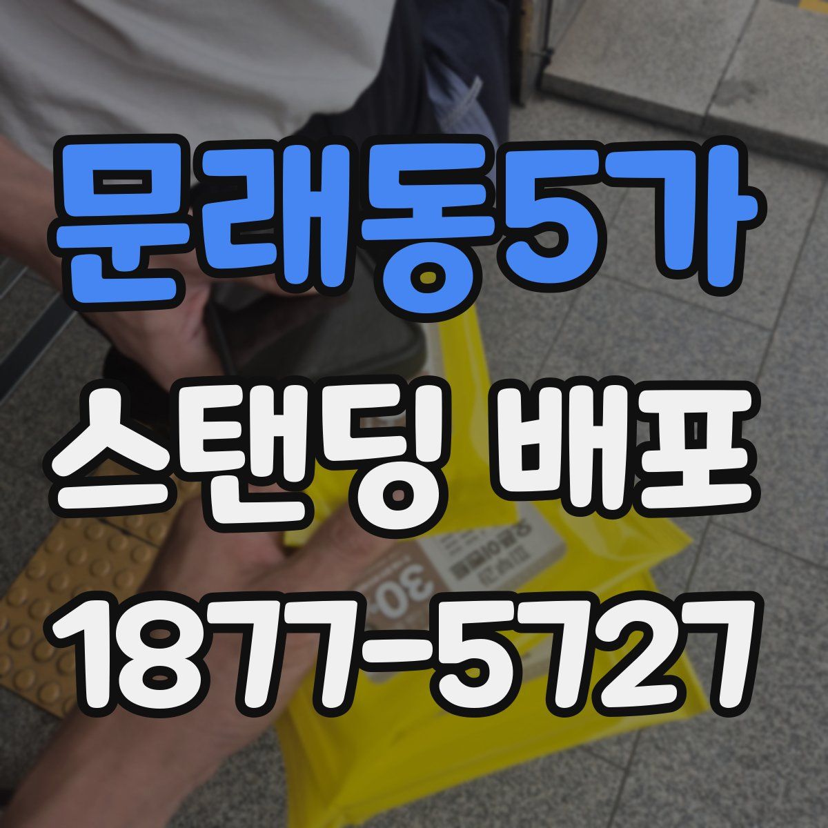 문래동5가 스탠딩 배포