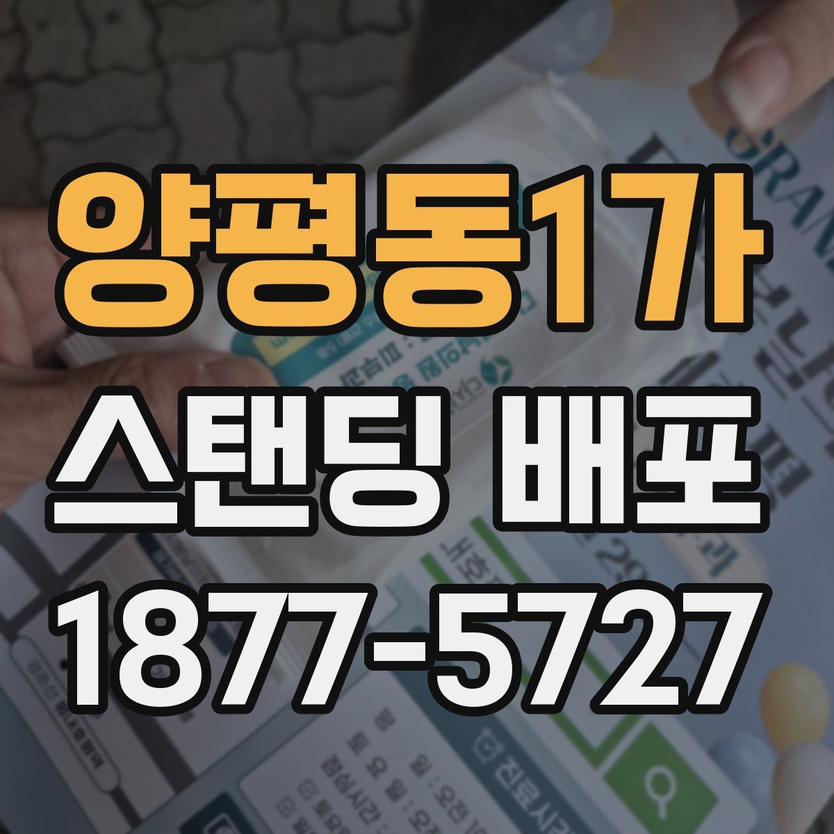 양평동1가 스탠딩 배포
