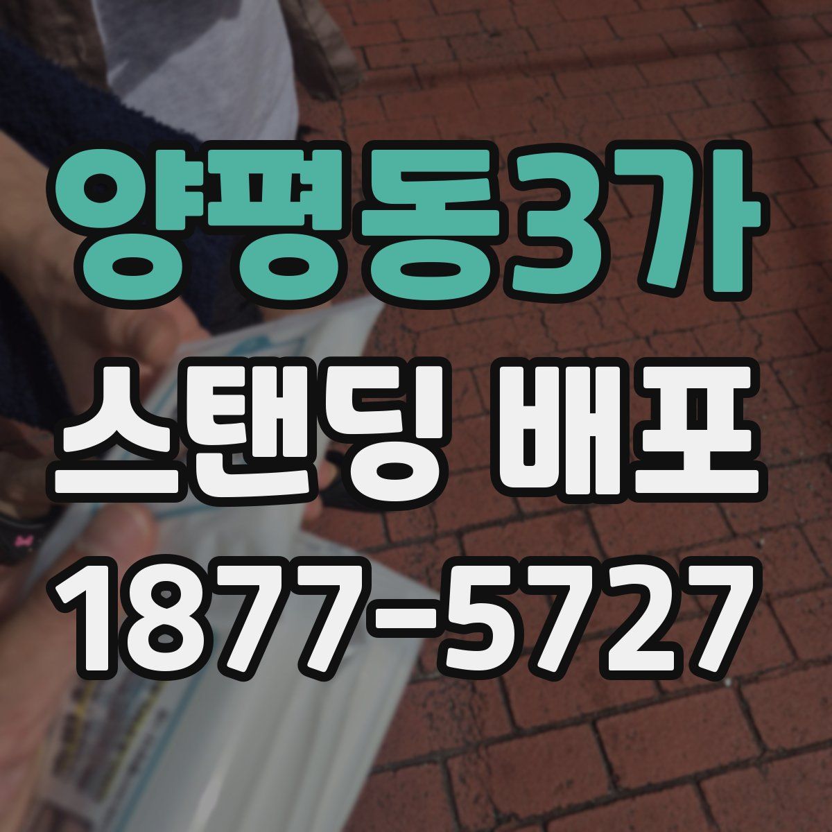 양평동3가 스탠딩 배포