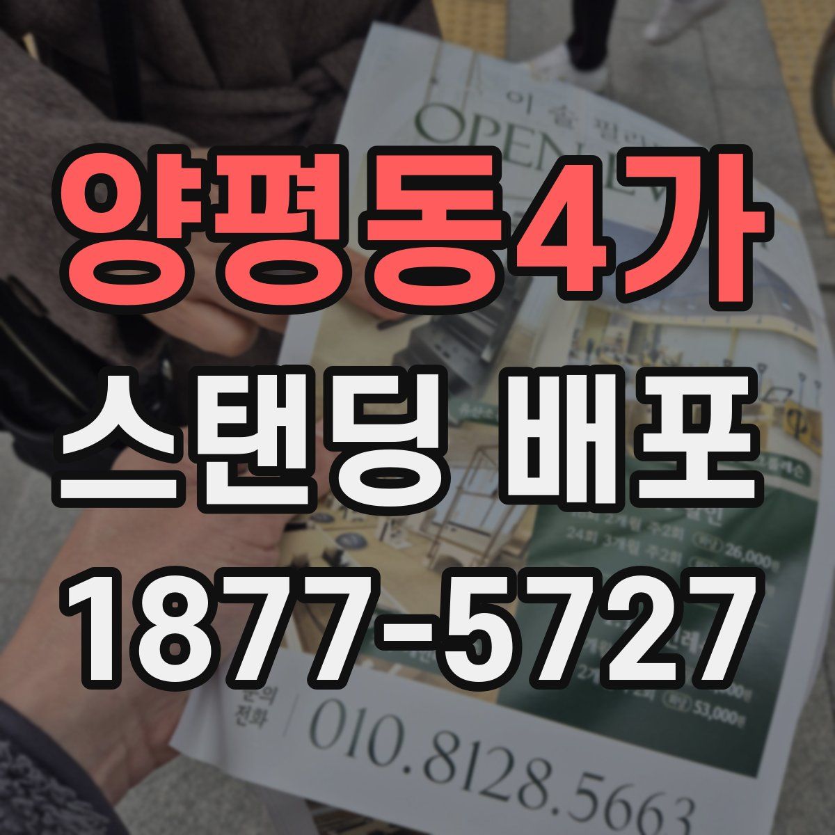 양평동4가 스탠딩 배포