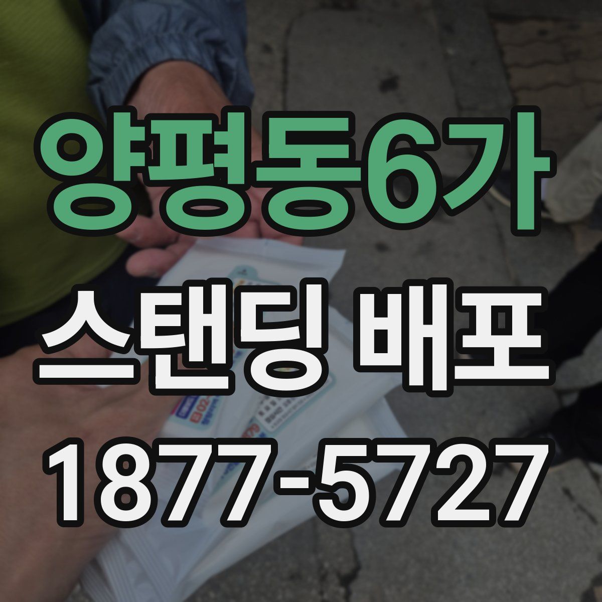 양평동6가 스탠딩 배포