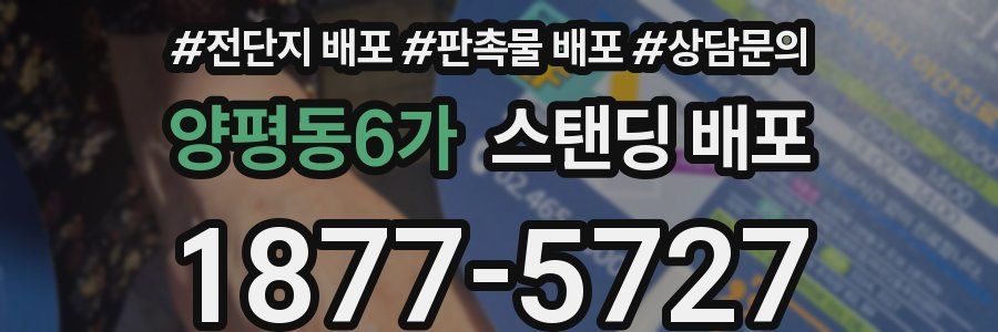 양평동6가 스탠딩 배포